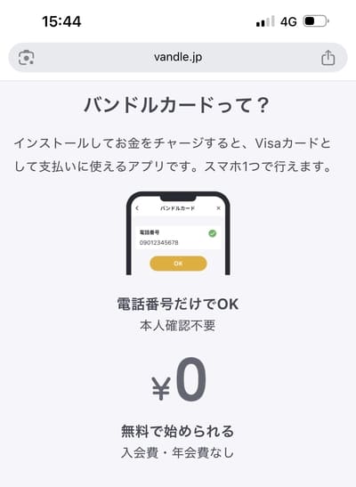 バンドルカードの公式サイトのスクショ画像